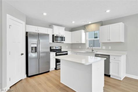 113 W Spring Drive Elyria OH 44035