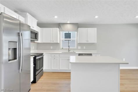 113 W Spring Drive Elyria OH 44035