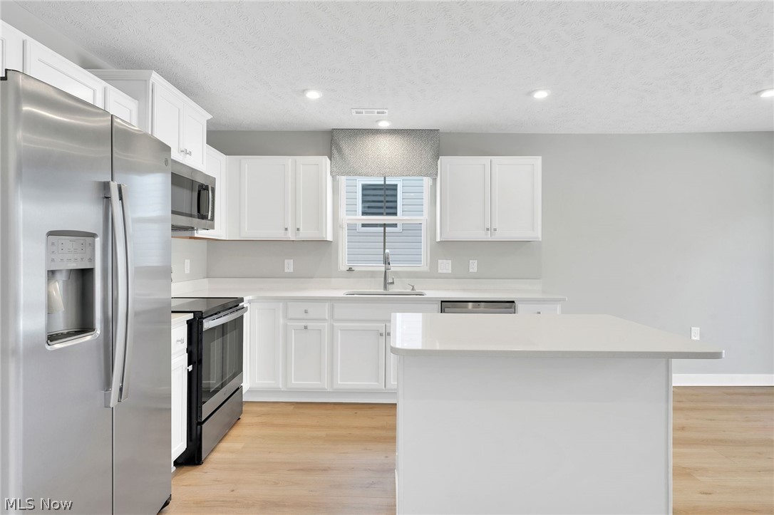 113 W Spring Drive Elyria OH 44035