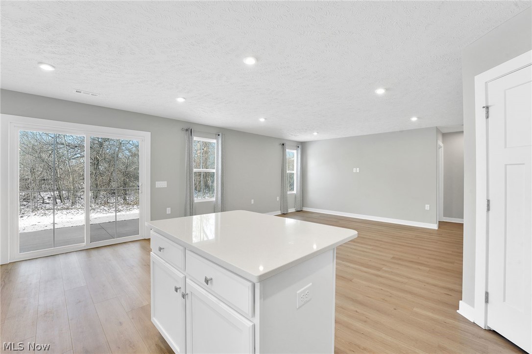 113 W Spring Drive Elyria OH 44035