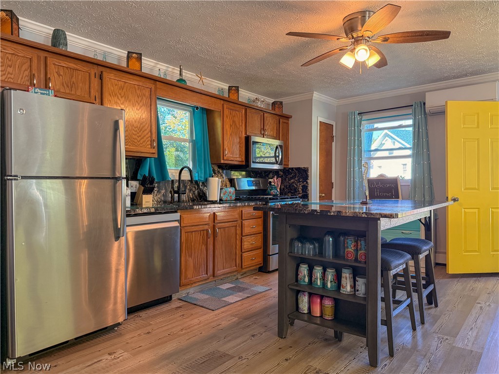 98 Clovercliff Drive Chippewa Lake OH 44215
