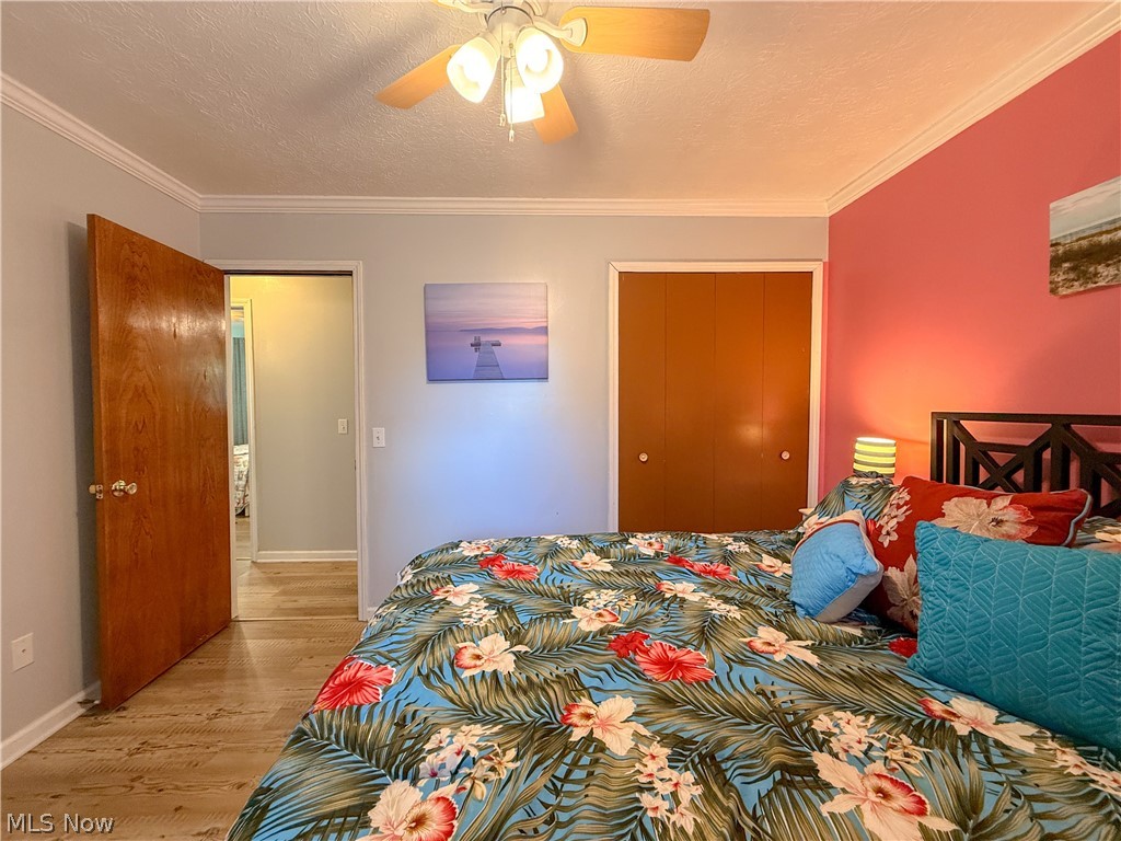 98 Clovercliff Drive Chippewa Lake OH 44215