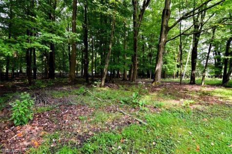 4240 Som Center Road Moreland Hills OH 44022