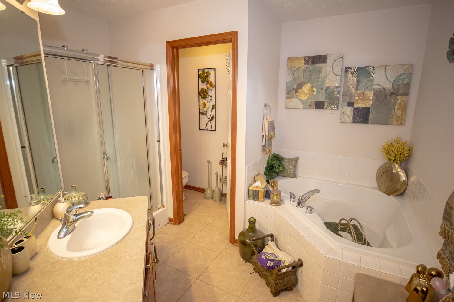 1683 Mccausland Drive Hudson OH 44236