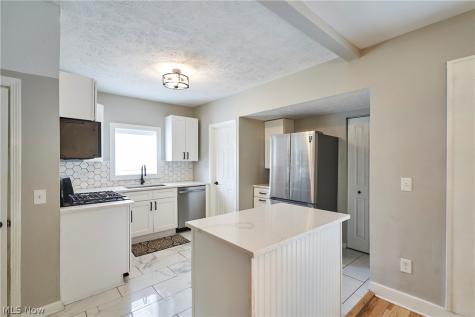 2111 Wascana Avenue Lakewood OH 44107