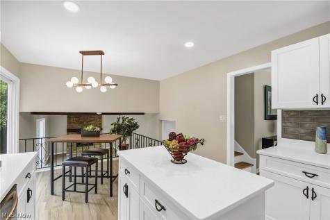 1581 N Circle View Drive Seven Hills OH 44131