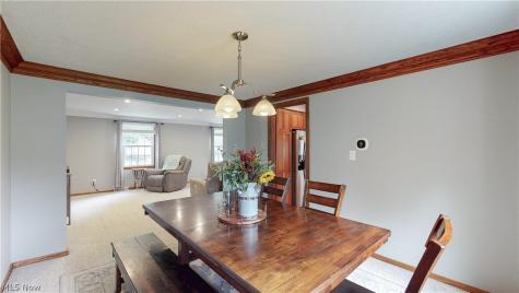 1448 Plantation Drive Hudson OH 44236