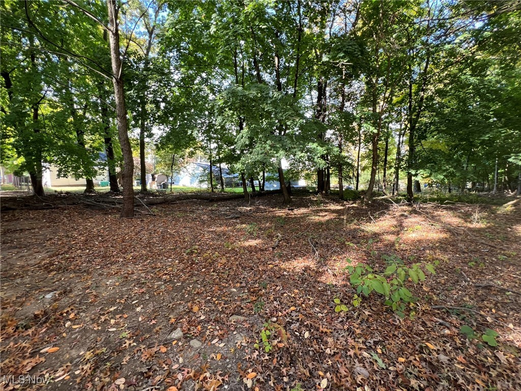 776 Kraus Court Akron OH 44307