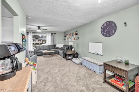 204 Circle Drive Doylestown OH 44230
