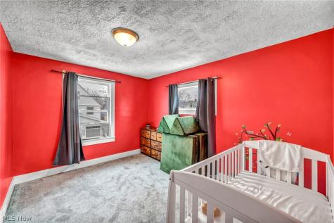 3146 W 90th Street Cleveland OH 44102