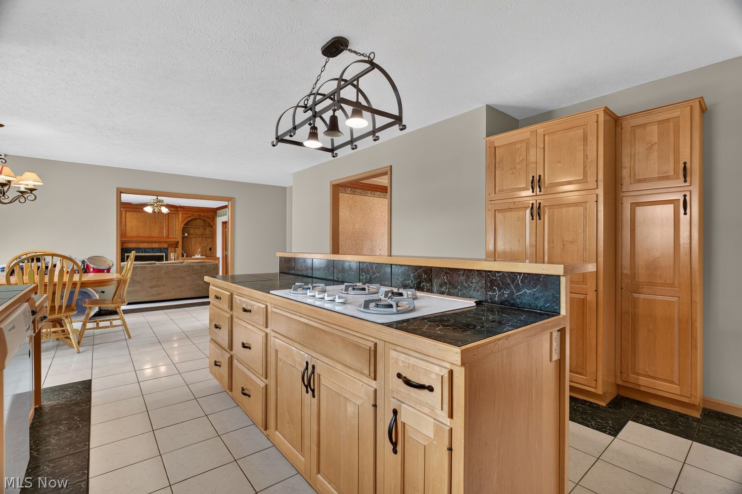 1990 Clover Circle Hinckley OH 44233