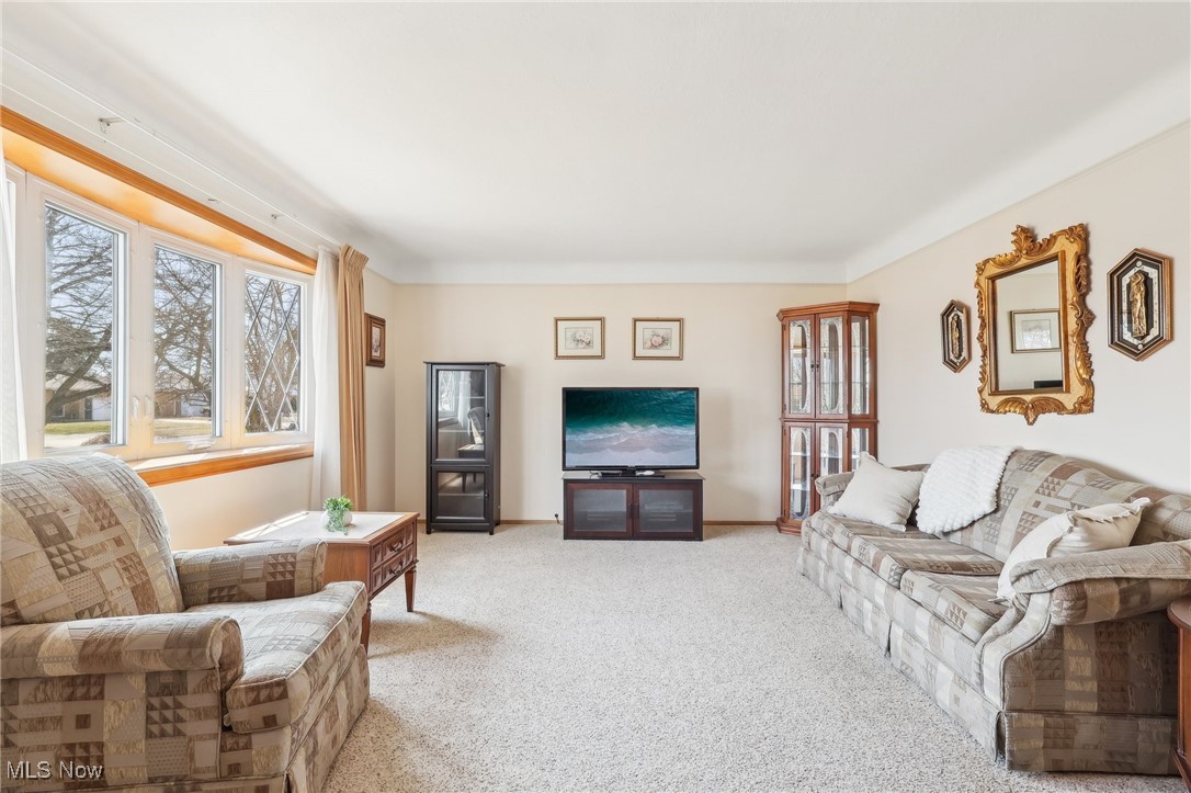 1200 Jackie Lane Mayfield Heights OH 44124