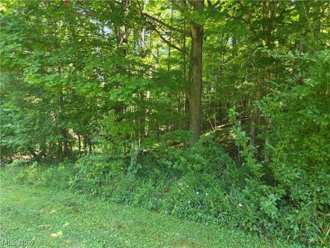 18985 State Route 58 Wellington OH 44090