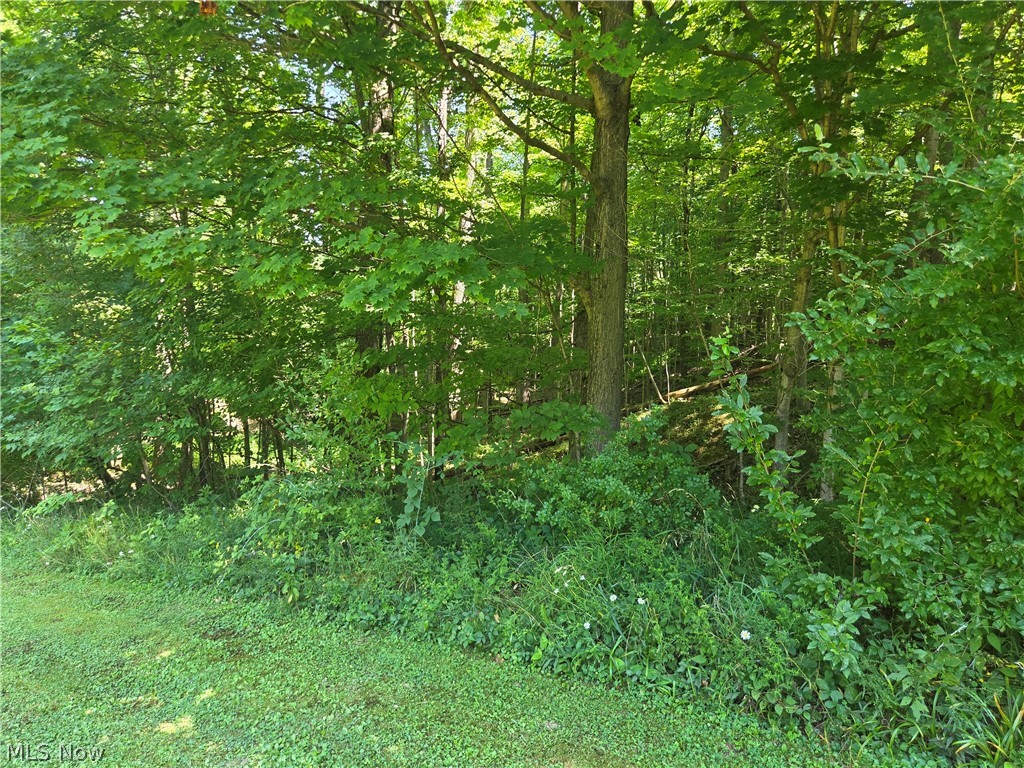 18985 State Route 58 Wellington OH 44090