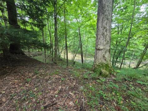 18985 State Route 58 Wellington OH 44090