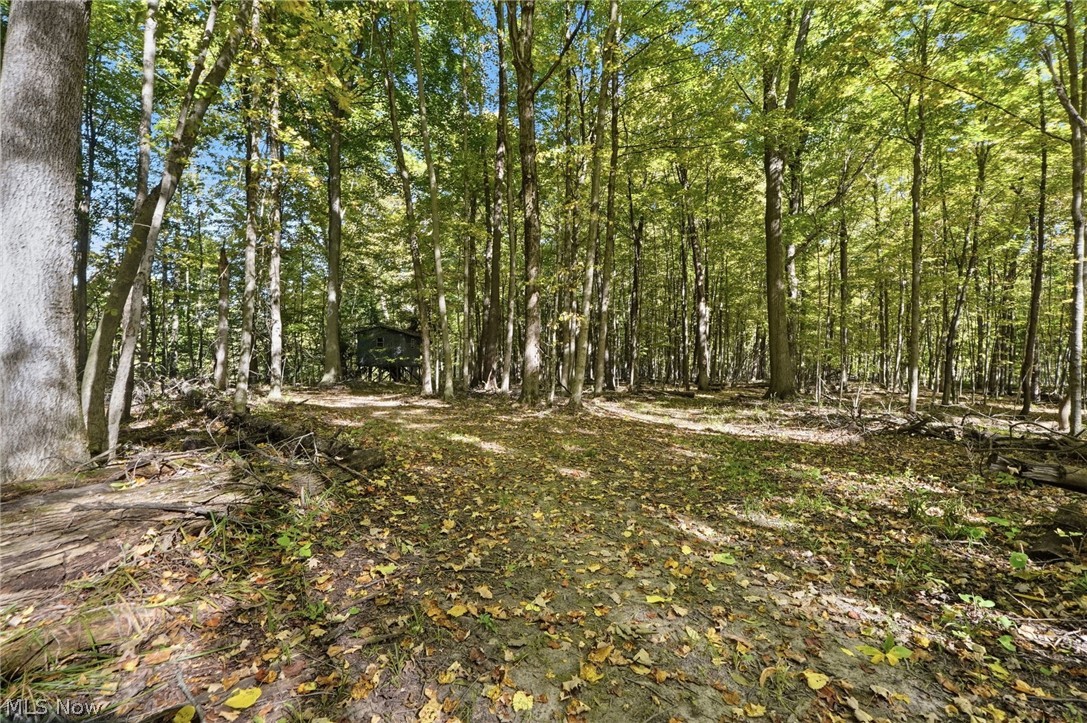 18985 State Route 58 Wellington OH 44090