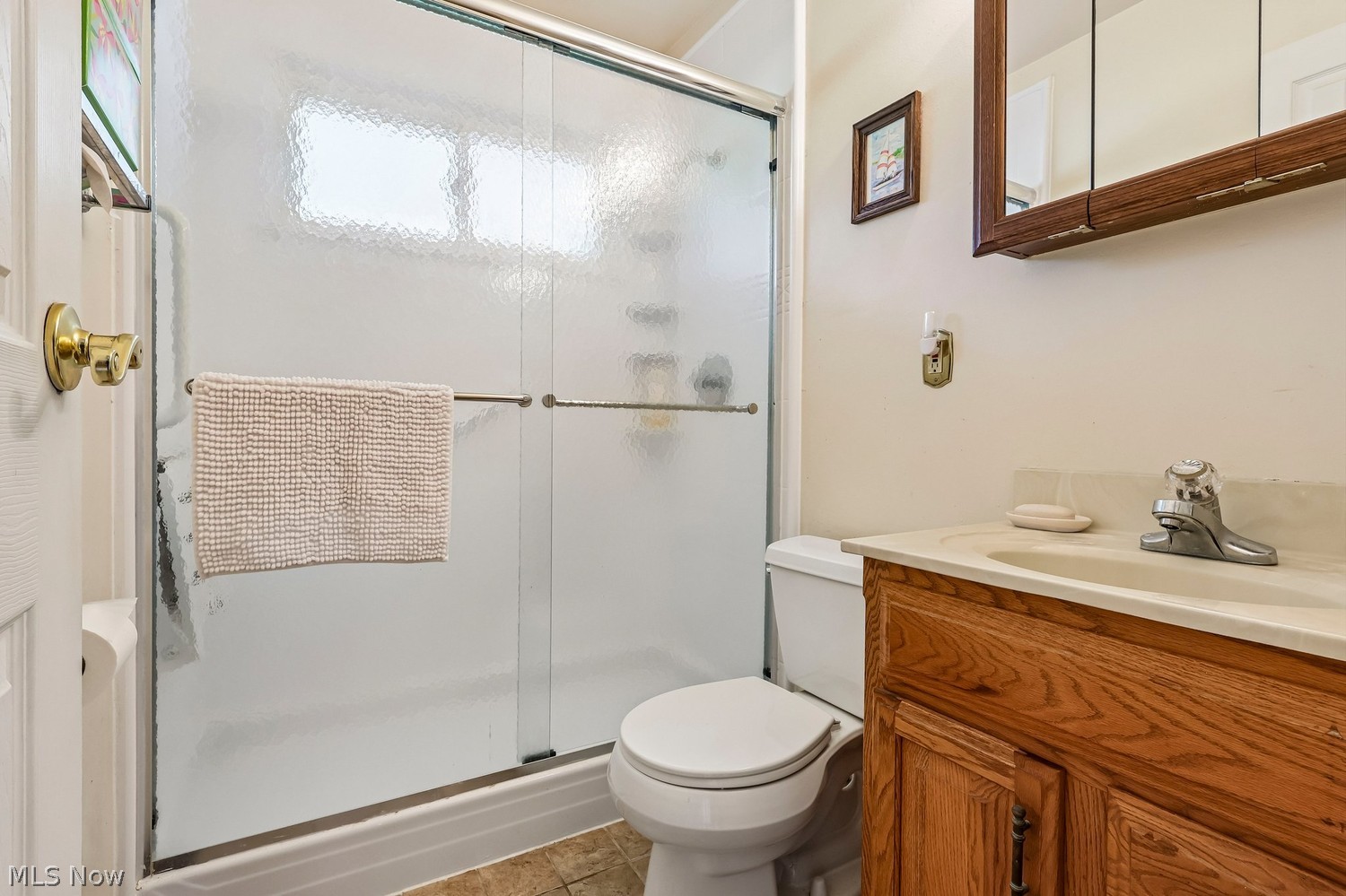 1146 Gaynelle Avenue Streetsboro OH 44241