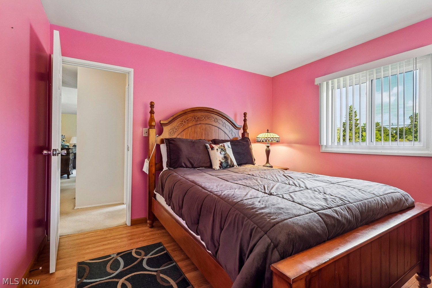 1146 Gaynelle Avenue Streetsboro OH 44241