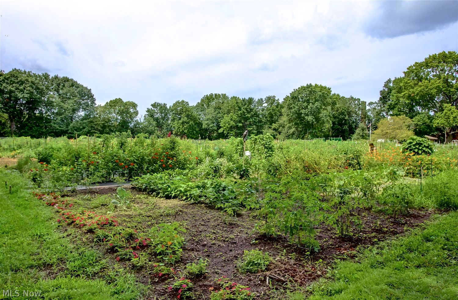 4514 Broadale Road Cleveland OH 44109