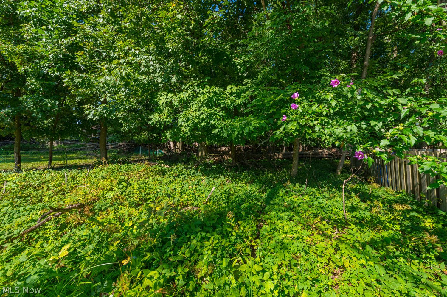 3880 W 229th Street Fairview Park OH 44126