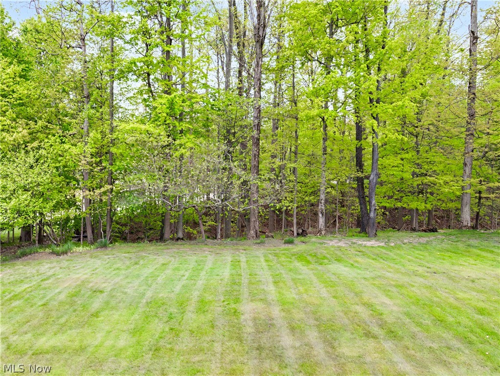 1246 Homestead Creek Drive Broadview Heights OH 44147
