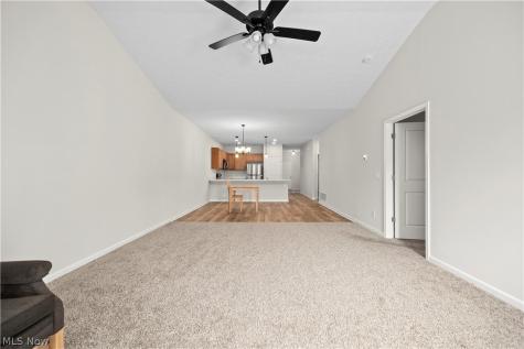 209 Alexander Drive Elyria OH 44035
