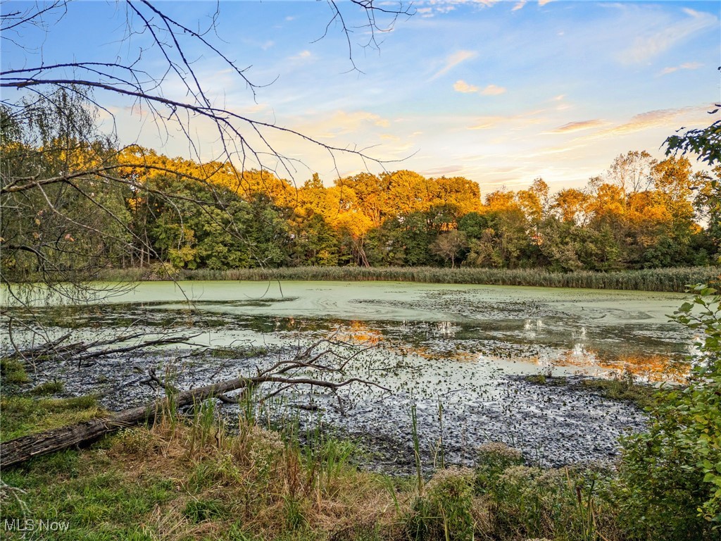 3917 Cayugas Drive Akron OH 44319