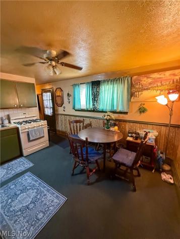 519 Case Avenue Elyria OH 44035