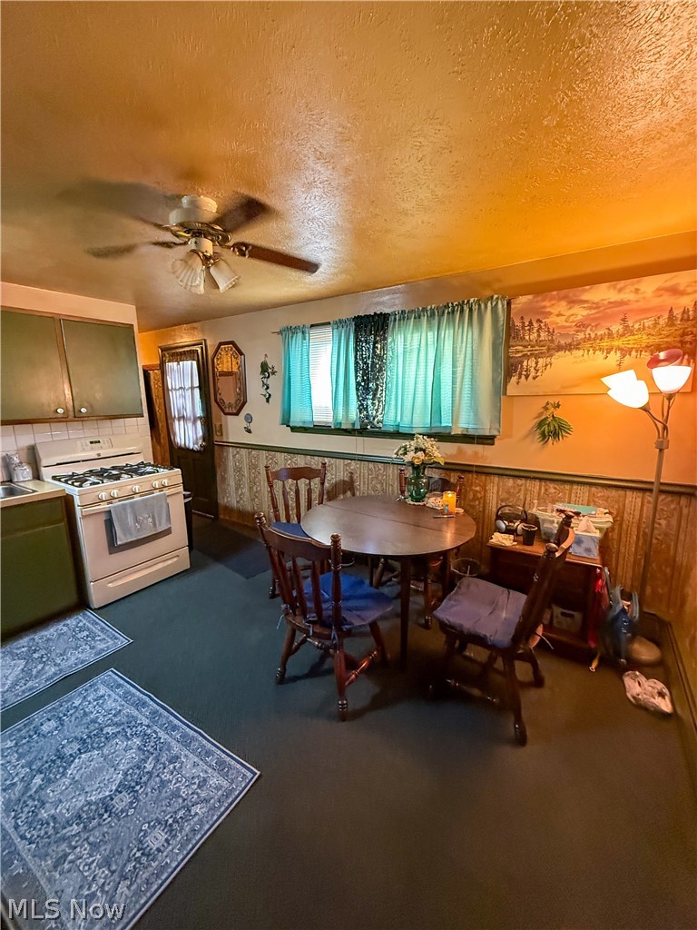 519 Case Avenue Elyria OH 44035