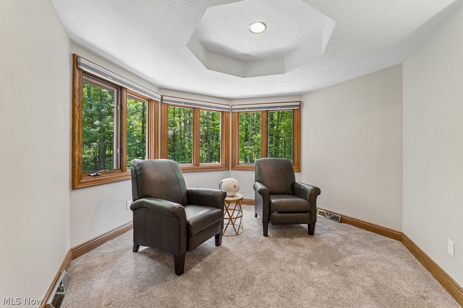 8840 Forest Edge Drive Kirtland OH 44094