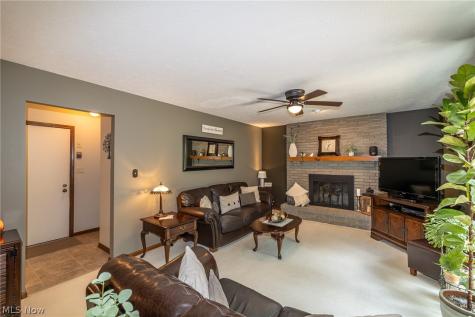 10222 Huntington Park Drive Strongsville OH 44136