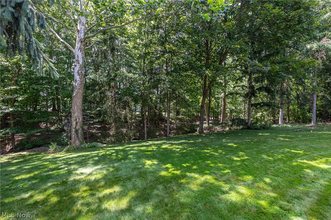 10222 Huntington Park Drive Strongsville OH 44136