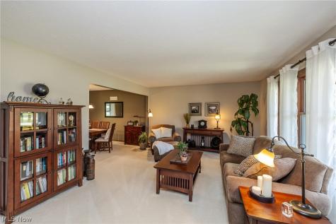 10222 Huntington Park Drive Strongsville OH 44136