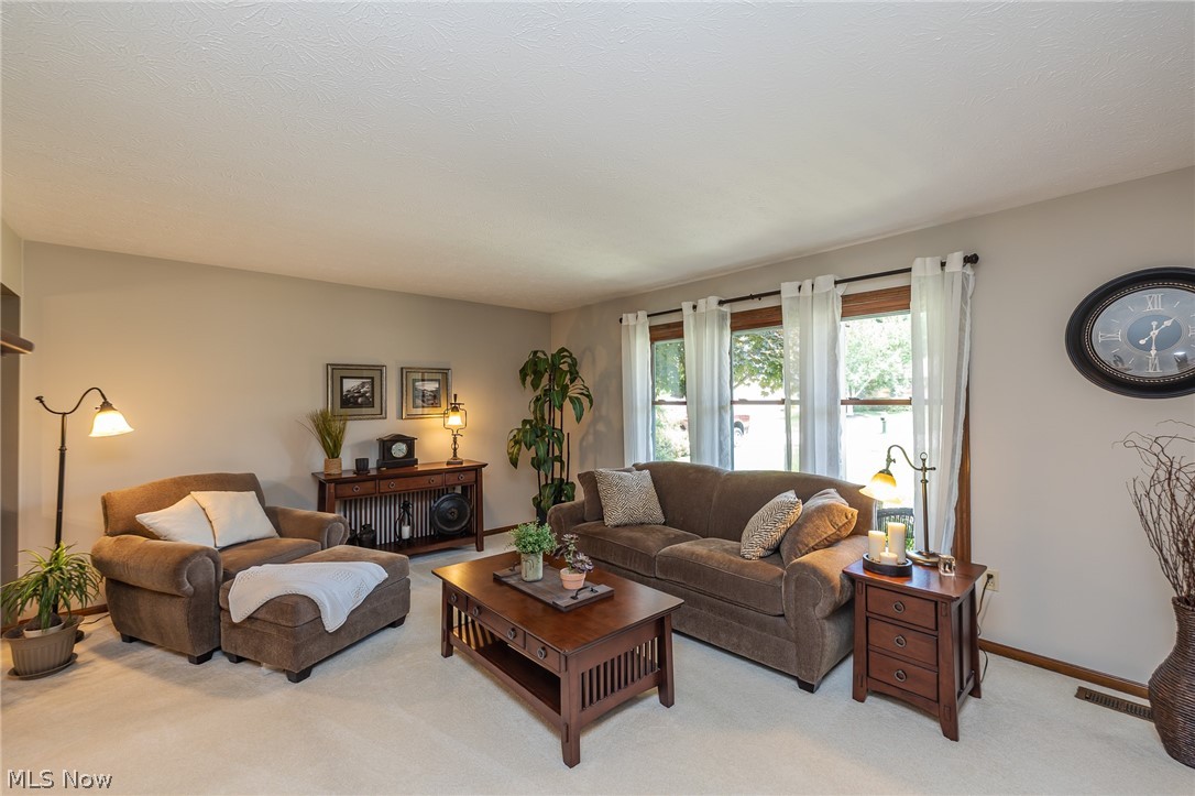 10222 Huntington Park Drive Strongsville OH 44136