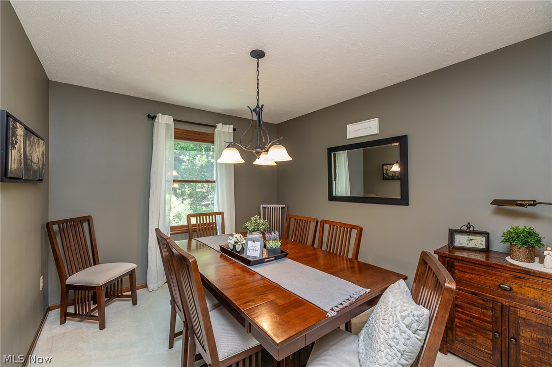 10222 Huntington Park Drive Strongsville OH 44136