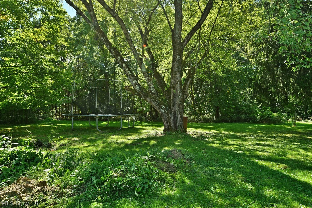 2422 Wilson Sharpsville Road Cortland OH 44410