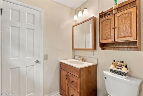 460 Rock Creek Run Amherst OH 44001