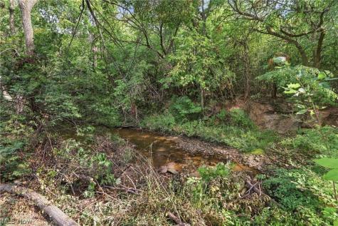 460 Rock Creek Run Amherst OH 44001