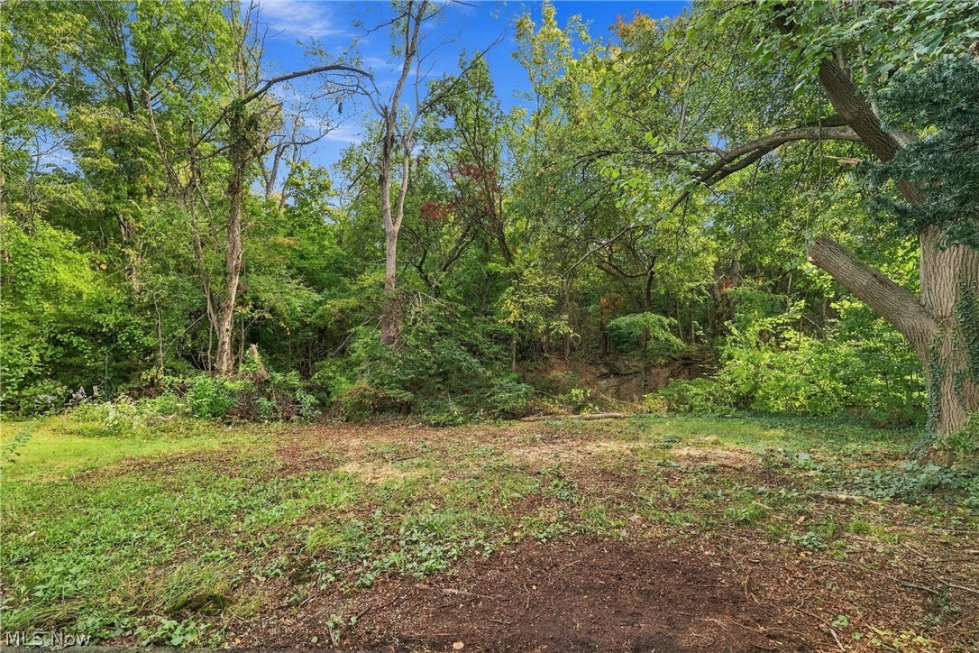 460 Rock Creek Run Amherst OH 44001