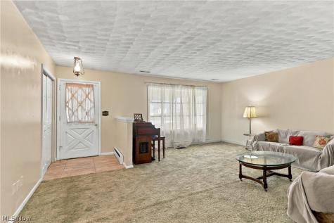 460 Rock Creek Run Amherst OH 44001