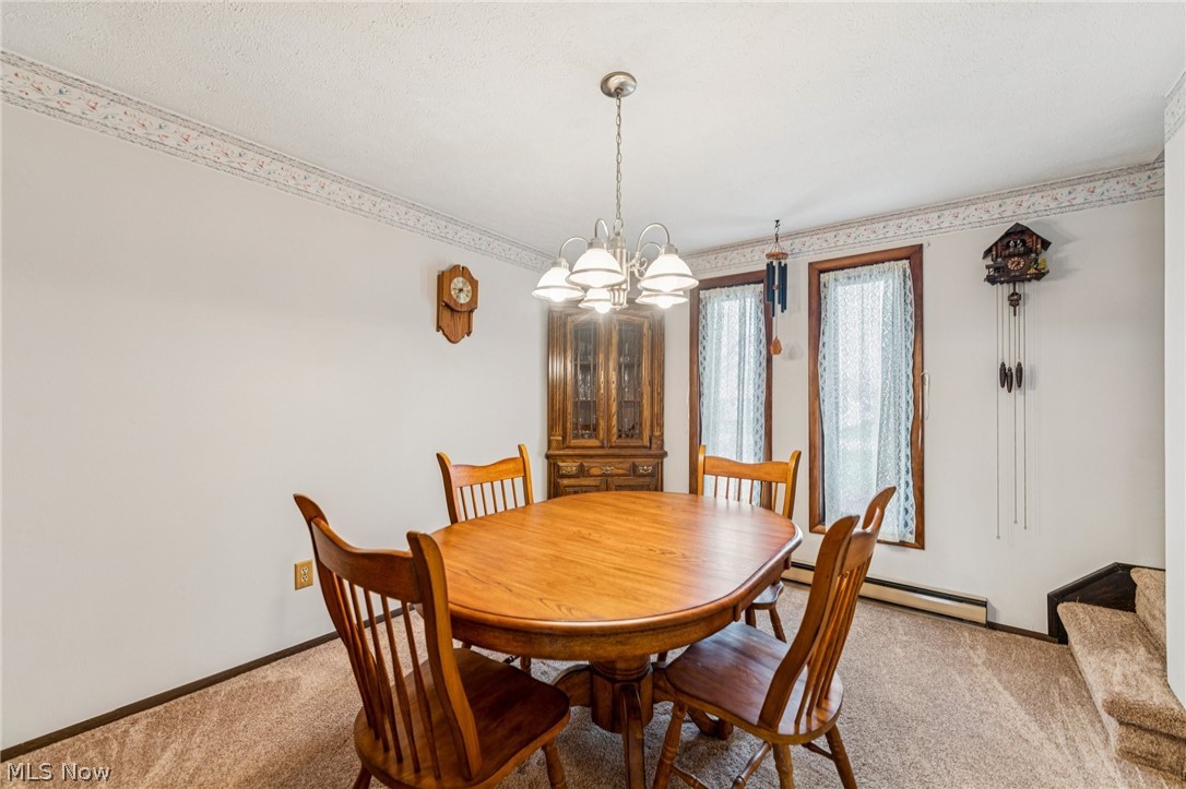 579 Robinwood Avenue Sheffield Lake OH 44054