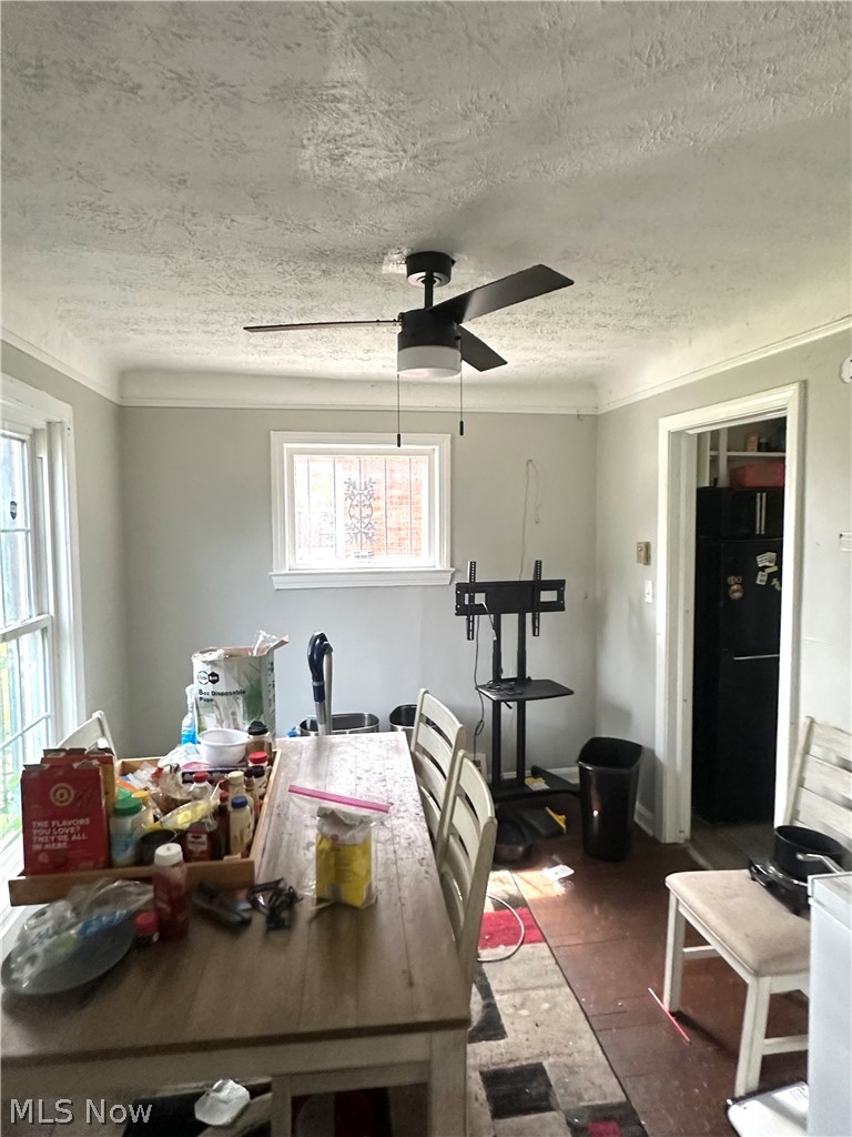 17519 Throckley Avenue Cleveland OH 44128