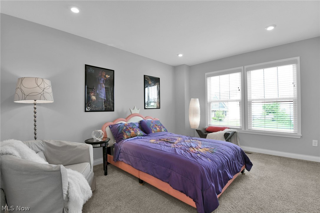 132 Cinnamon Teal Street Pickerington OH 43147