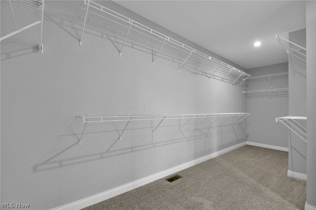 132 Cinnamon Teal Street Pickerington OH 43147