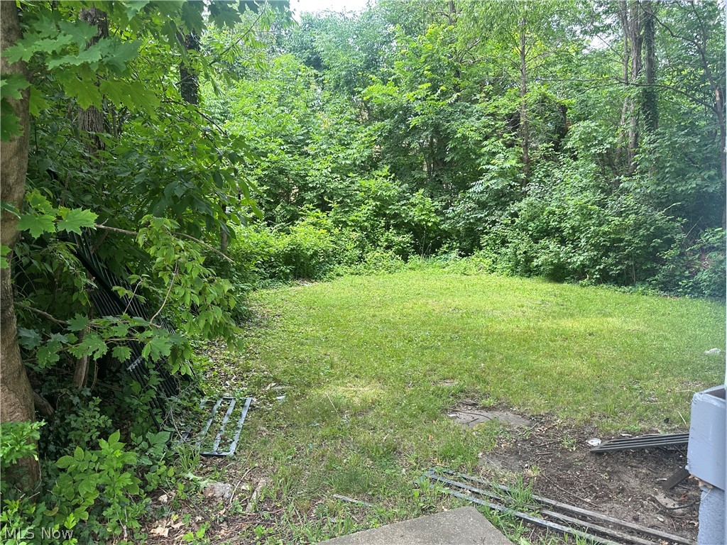 1036 E 149th Street Cleveland OH 44110