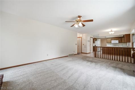 335 Radley Drive Painesville OH 44077