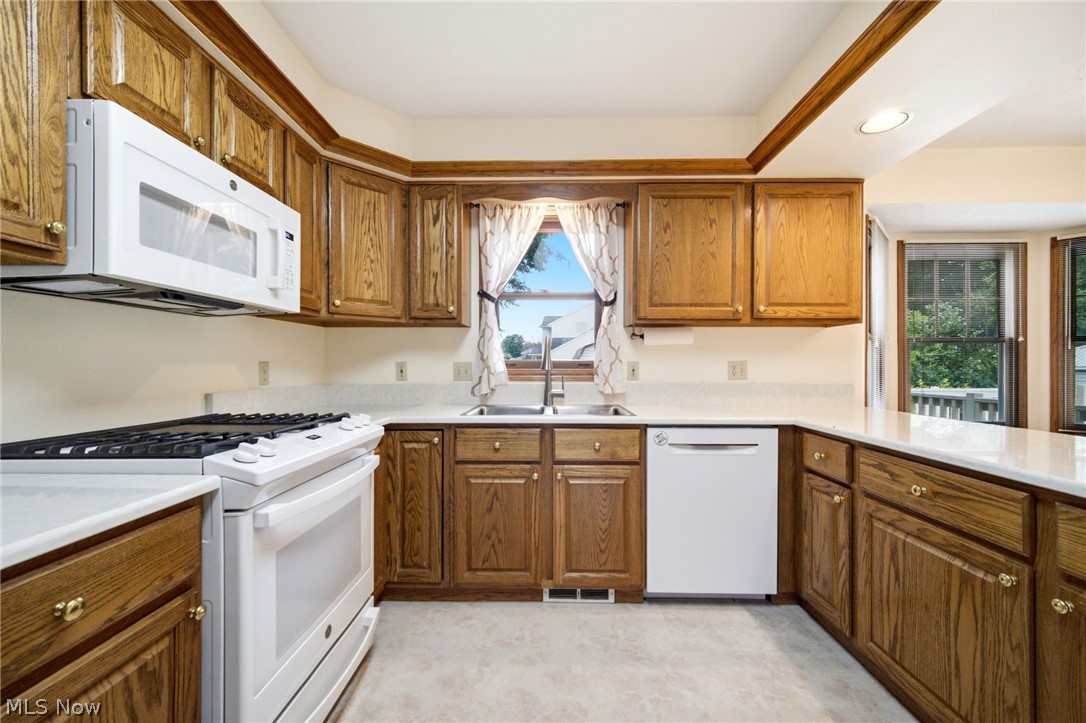 335 Radley Drive Painesville OH 44077