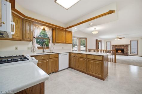 335 Radley Drive Painesville OH 44077