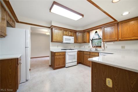335 Radley Drive Painesville OH 44077