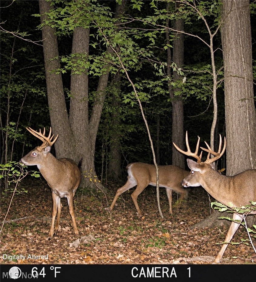 3165 Phalanx Mills Herner Road Southington OH 44470